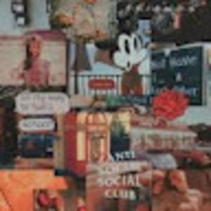 Meet your Posher, Ellie